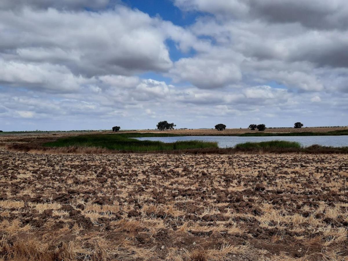 Alentejo, Herdade Do Gizo - Casa Do Prado Villa